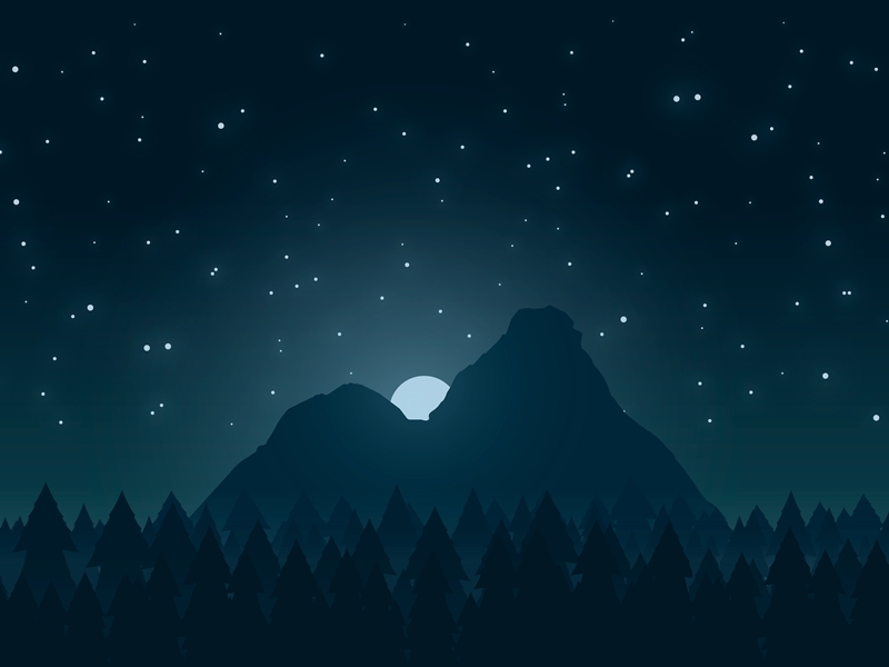 Dark moonlight night landscape by Sulenko Mykyta on Dribbble