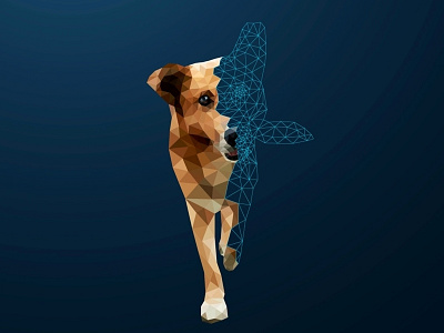 Polygons in process 3d animal create dog geometric logo low low poly origami poly polygonal triangle