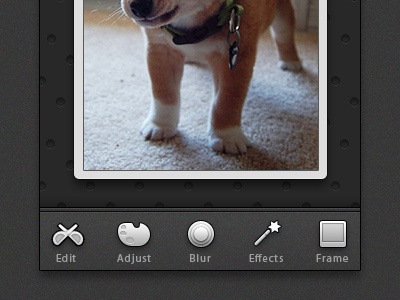 he's not a lovely dog. button edit icon photo
