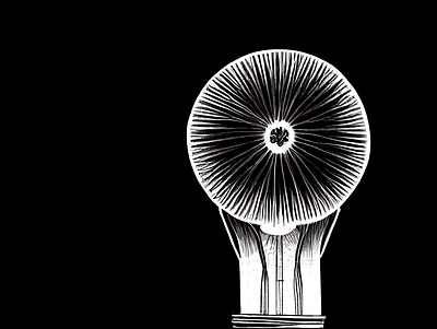 Age of Reason creation graphic design idea innovation intellectual light lightbulb logo thinking