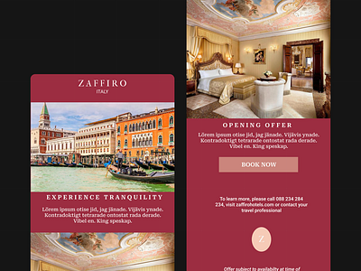 Luxurious Hotel Product Email Design