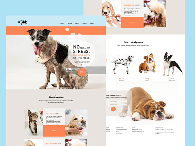 Dog Grooming Studio dog groom grooming web design