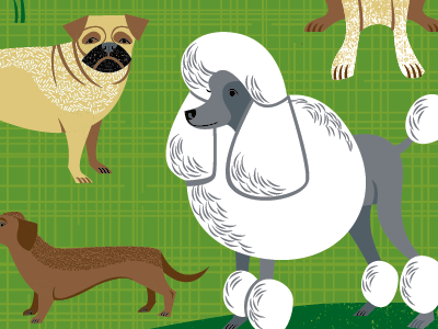 Parade of Pooches dogs illustration pattern