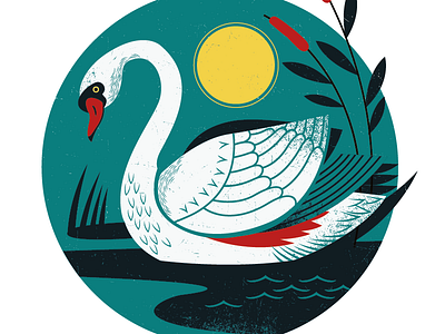 Swan Song 4 color birds illustration