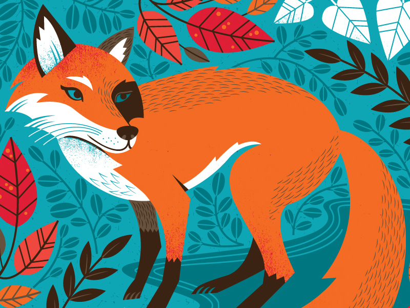 Foxy by Lucie Rice on Dribbble