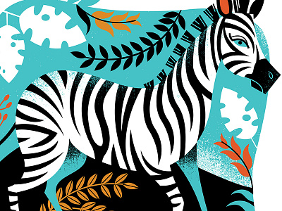 Zebra illustration zebra