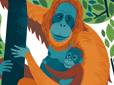 ORANGUTANS!!!! animal illustration monkey orangutan