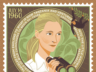 Jane Goodall illustration jane goodall portrait