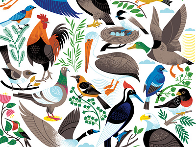 Birds of a Feather animal art audubon birds illustration scientific surface design surface pattern