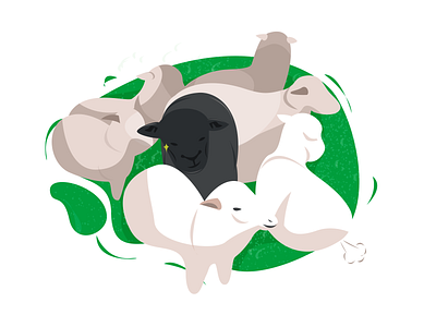 black sheep illustration illustrator