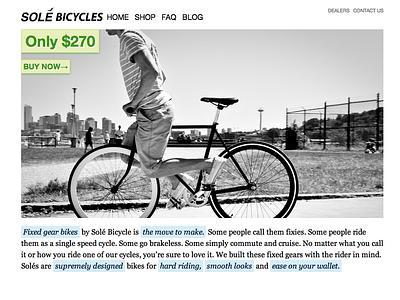 2010 Solé Bicycles homepage design bicycles client design homepage sole