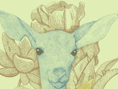 deer animals colors illustration