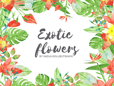 Watercolor exotic flowers. backdrop background bird of paradise botanical branding clipart design exotic floral flowers greenery hand painted hawaii illustration image logo orchid paradise summer watercolor