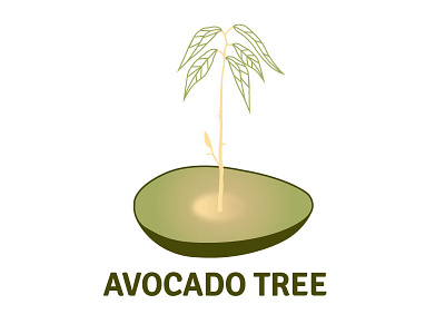 Avocado Tree avocado avocado tree design illustration plant tree