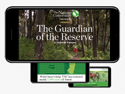 The Nature Conservancy conservation environment infographics nature social stories video