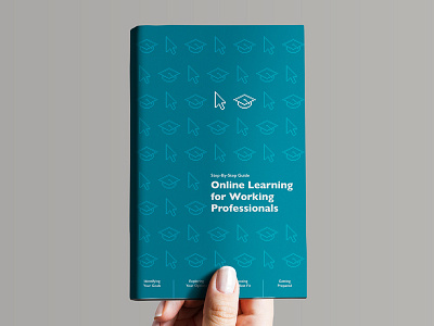 Online Learning Guide Book Cover book print