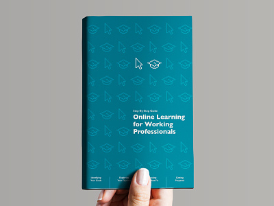 Online Learning Guide Book Cover