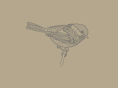 Hand Drawn Bird Illustration Version 2