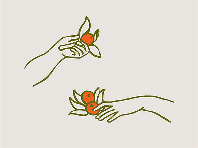 Oranges fruit hands illustration