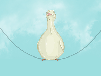 A fat bird bird design illustration sky