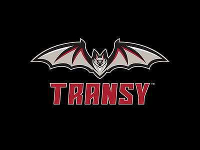transy-tertiary-mark.png