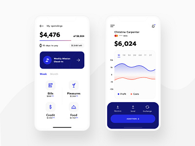 Spendings dashboard graph interaction ios mobile money payment spendings ui ux