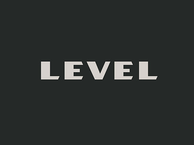 LEVEL