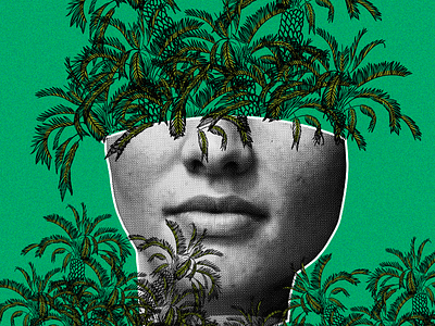 collage + illustration 02 branding collage illustration art nature