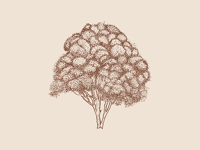 Tree design health illustration nature