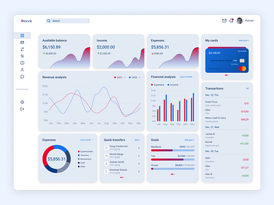 Norvik financial dashboard