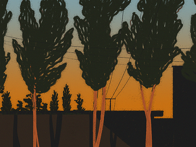 sunset in my city illustration