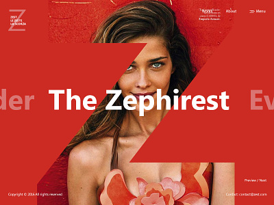 The Zephirest bright clean clear kit minimalist modern new ui web zest