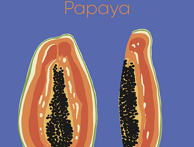 Vector papaya design graphic design icons illustration illustrator vector