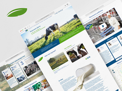 Website design for a dairy plant graphic design landing page website