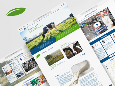 Website design for a dairy plant