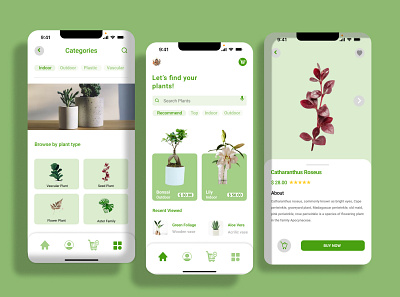 [UI STUDY CASE] LIVELY PLANT SHOP APPS 3d animation app apps branding design graphic design illustration logo plantshop ui ux vector