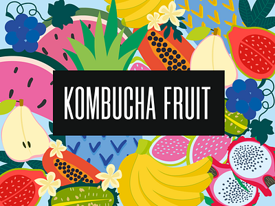 Kombucha fruit blue fruit grape graphic design green guava identity illustration kombucha logo pear pineapple pitaya vector watermelon