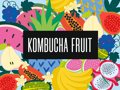 Kombucha fruit blue branding fruit illustration fruits grape graphic design green guava identity kombucha logo logotype pattern pear pineapple pitaya red vector watermelon