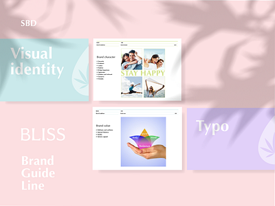 BLISS Visual identity bliss brand brandidentity branding cbd graphic design guide guideline identity logo logotype pattern typography vector visual identity