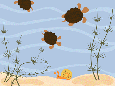 Under the water graphic design identity illustration sea turtles algae snail snail vector