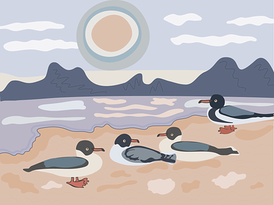 Seagulls, sea, rocks graphic design identity illustration rocks sea seagulls vector