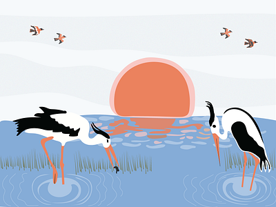 Storks birds graphic design identity illustration river sky sun grass birds storks sun vector