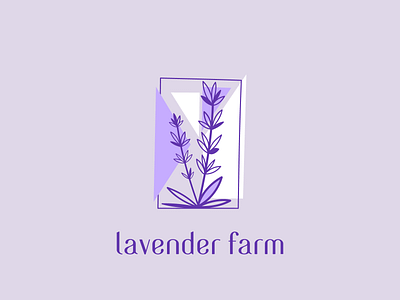 Lavender farm