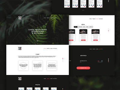 PiarFast landing page black instagram landing site ui