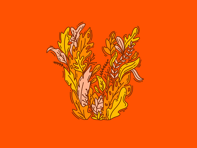 V flowers illustration lettering orange plants procreate type typography v