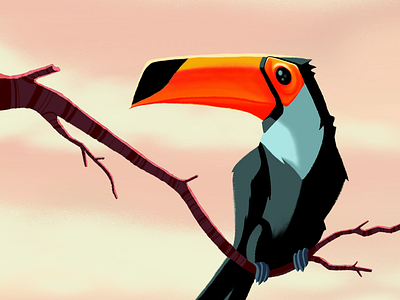 Toucan bird digital painting illustration painting