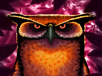 Owl bird digital painting illustration owl painting