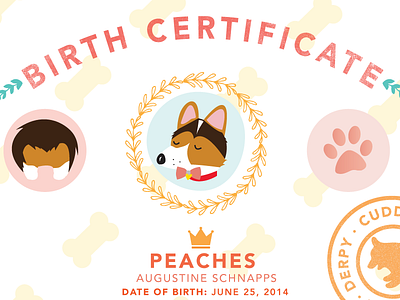 Peaches The Corgi birth certificate corgi dogs illustration pets