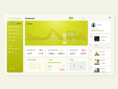 Leomo Dashboard UI concept