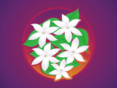 Jasmine Flower design flat flower gradient illustration philippines symbol vector
